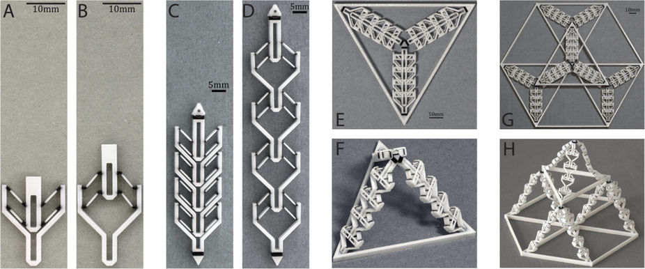 3D printed assemblies that are “programmed” to expand in response to pressure. Image: Tian Chen, Jochen Mueller, and Kristina Shea