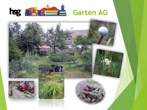 Die GartenAG macht beim SpardaImpulsWettbewerb mit! Hohenstaufen
