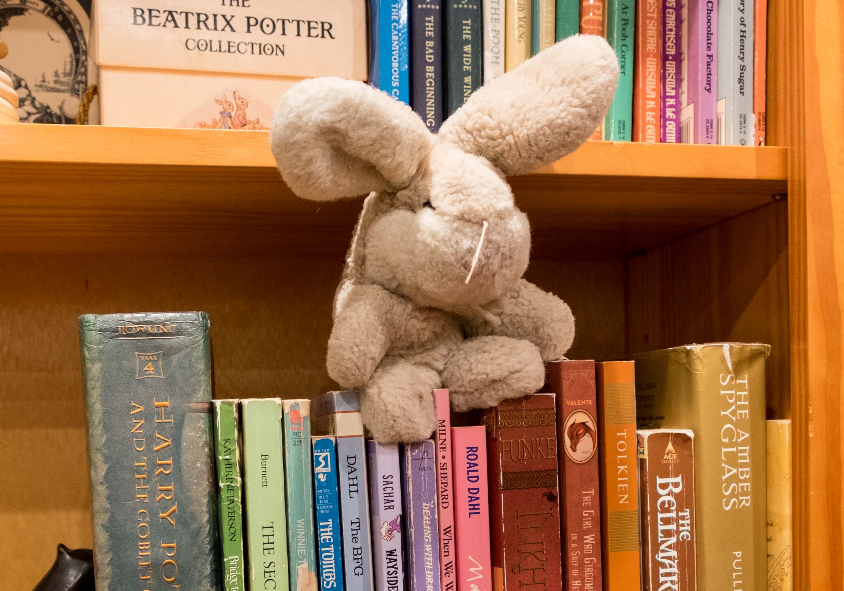 stuffed animal stories