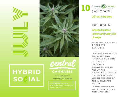 Hybrid Social Cannabis Education Event with CannaFarms and Green Hedge