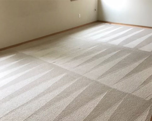 Carpet cleaning by GreenWorks Carpet Cleaning
