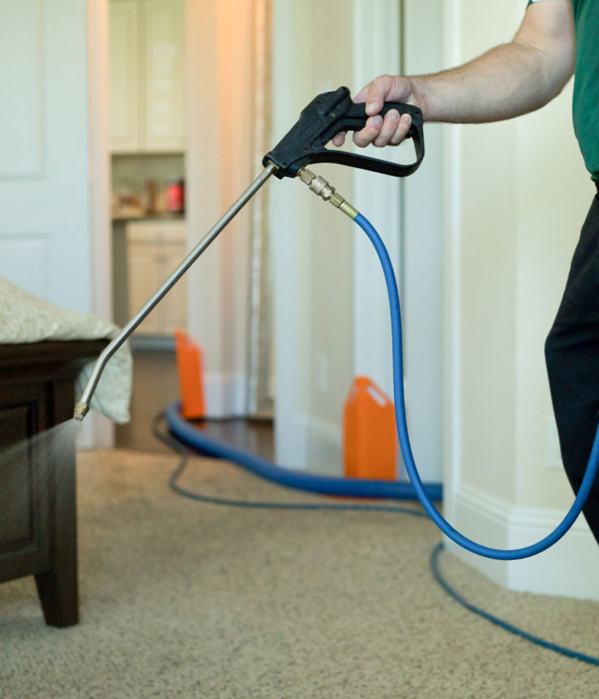 Clean carpet in Houston, TX