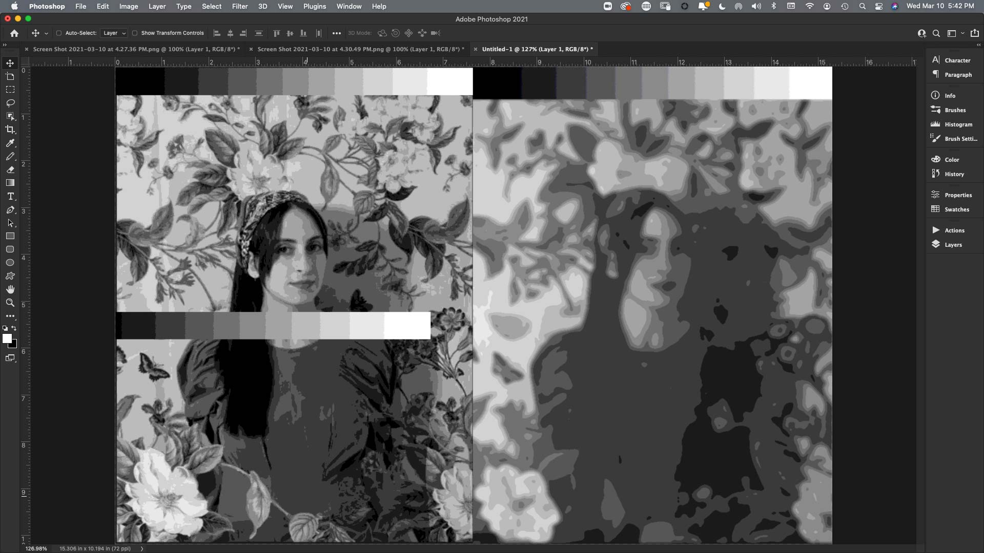 Zoom screen shot of Marvin Mattelson photoshop painting analysis