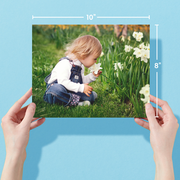 online-photo-printing-order-10x8-photo-prints-postsnap