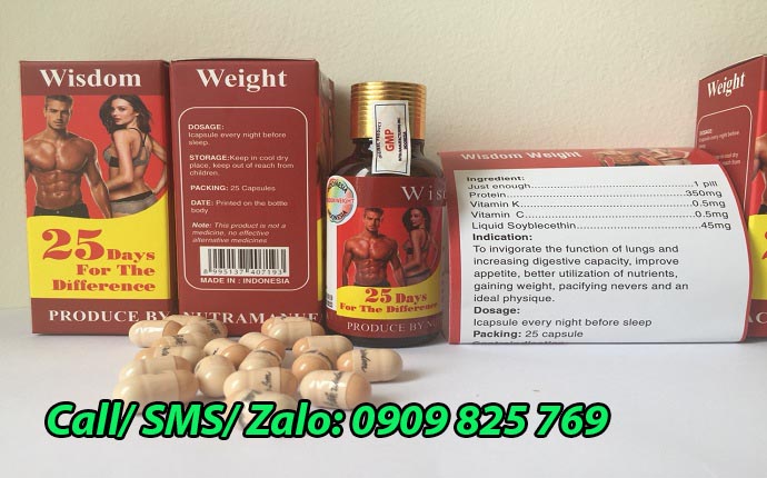 Thuốc tăng cân Wisdom Weight Indonesia