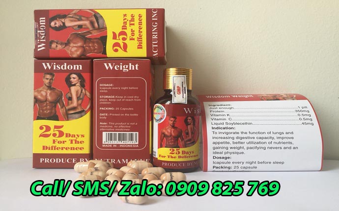 Mua thuốc tăng cân Wisdom Weight ở Ninh Thuận