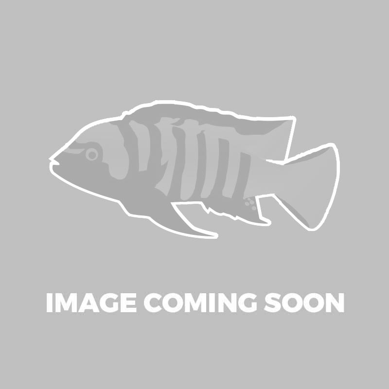 Vitalis Cichlid Carnivore Pellets (Red)