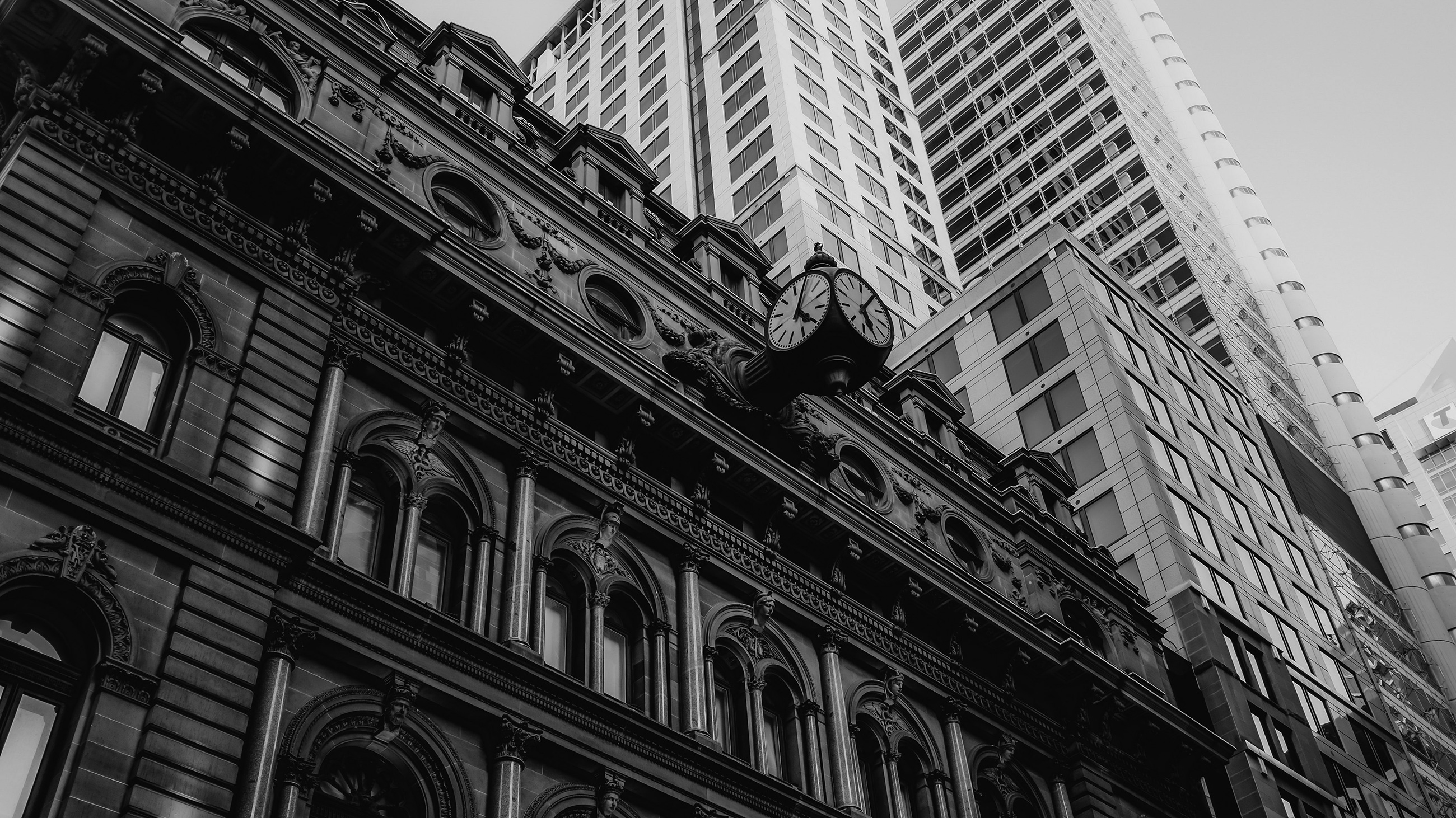 Balmain Sydney Office