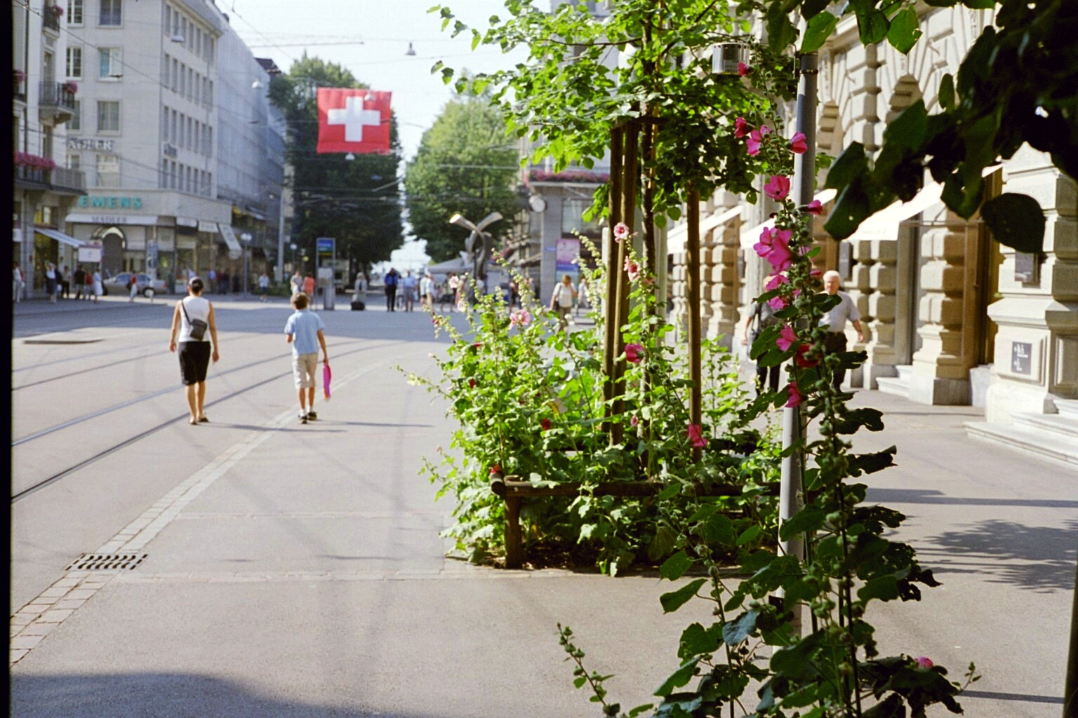 Der Guerilla-Gärtner aus Zürich