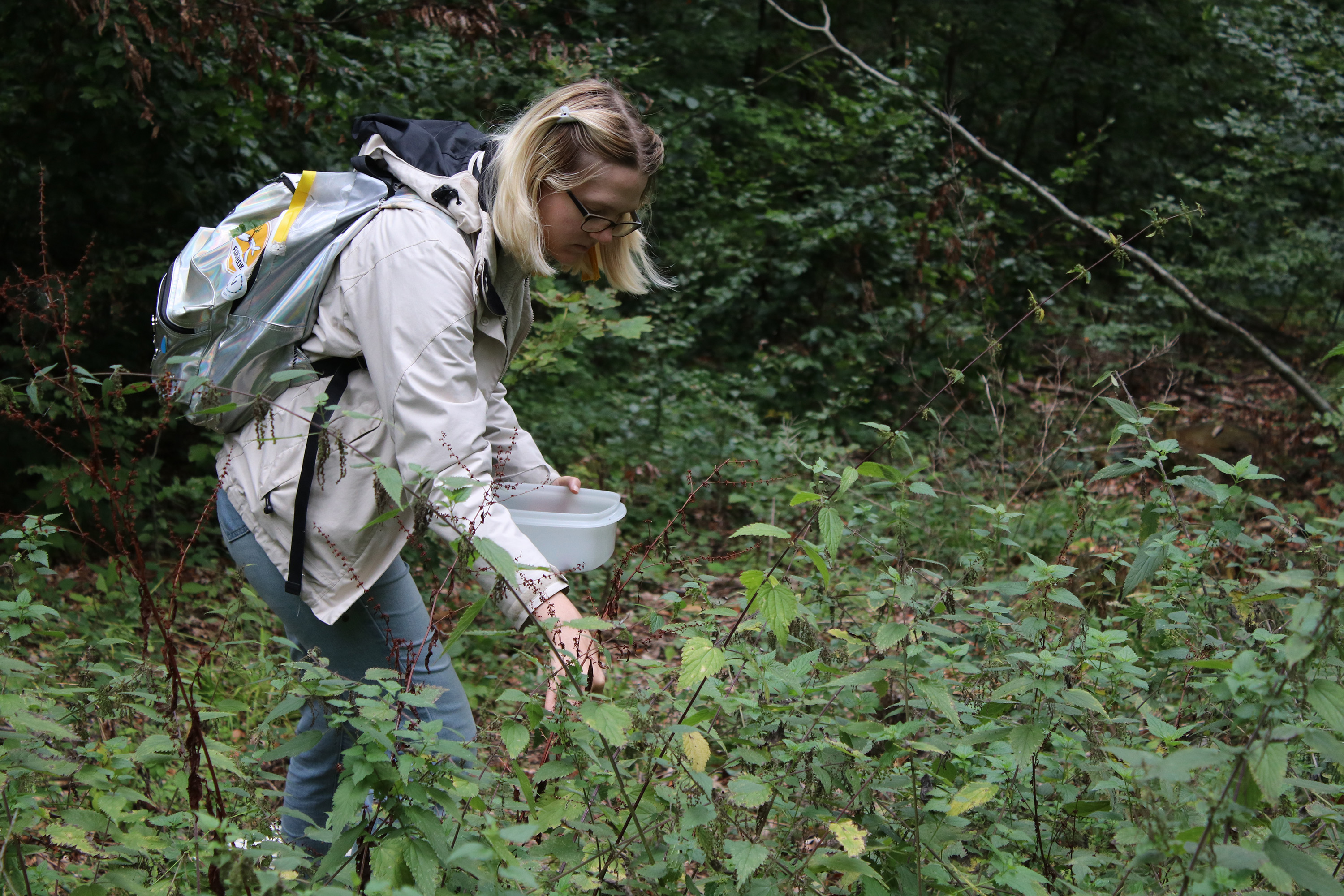 5db85bd99431de527a7d2bb2 Ernte%20brennn small