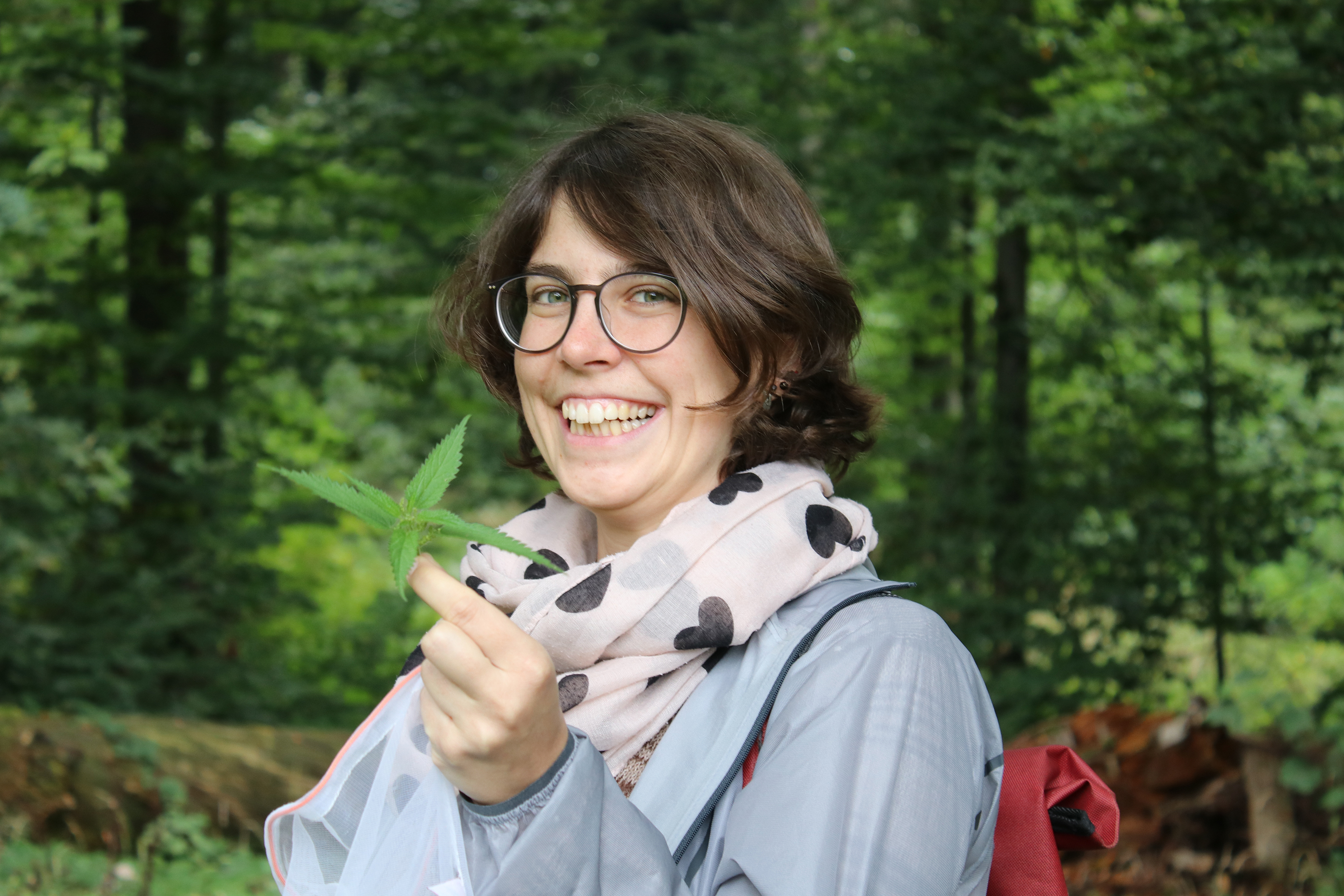 5db85bdbe2e0348d1f9b4d62 ernte small