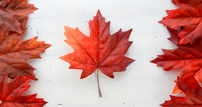U.S. Exporters - Think Canada First!