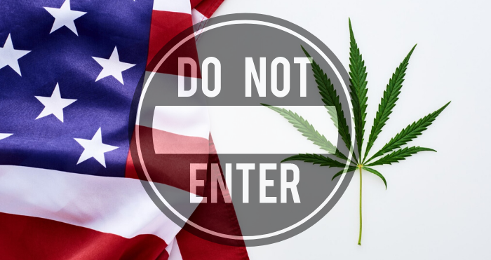 Medical Cannabis In The Trade Industry: Know The Facts & Consequences