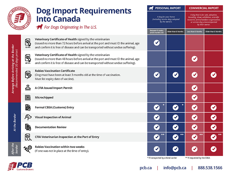 dog import requirements into Canada