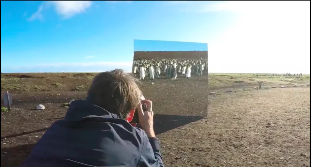 mirror Project Falkland Islands