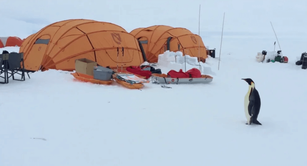 tent tour