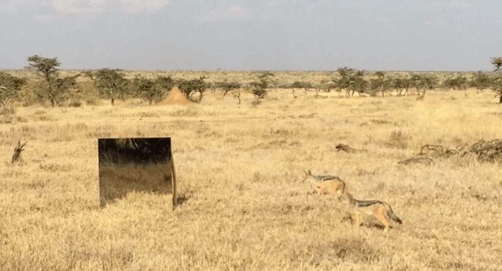 making the mirrors in kenya