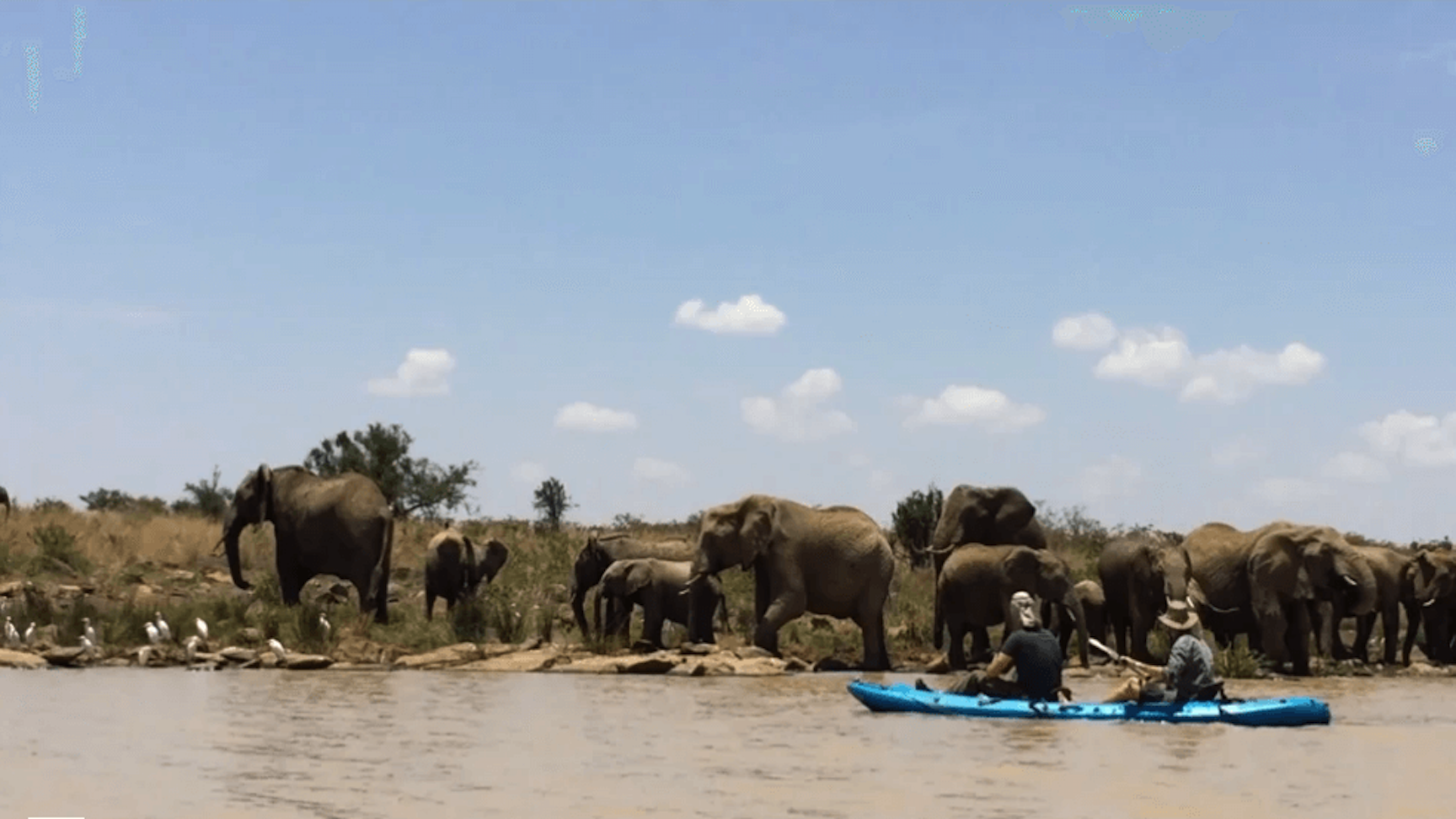 kayaking with Elephants