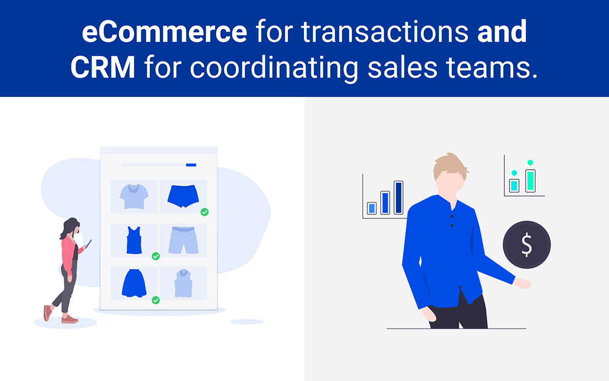 CRM and eCommerce systems
