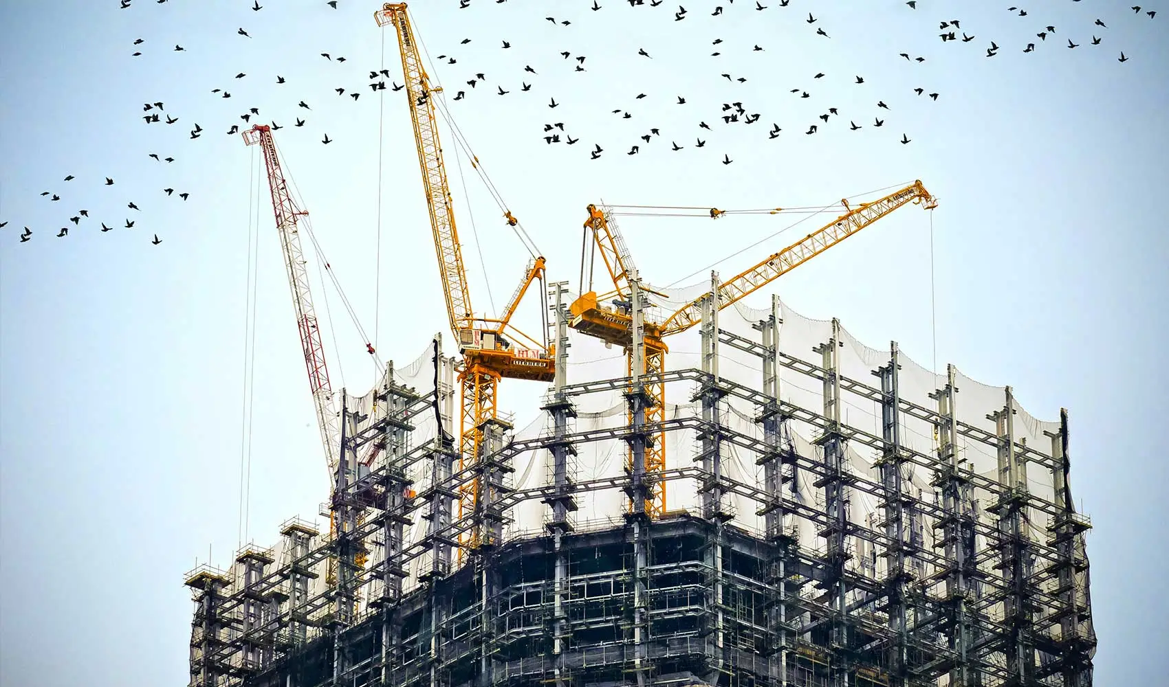 Low angle photography of cranes on top of building photo