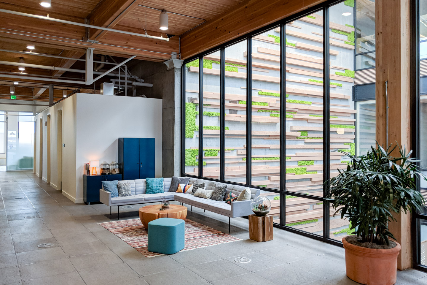 architectural photo highlighting the new office of a local tech start-up