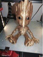 Shiney Groot