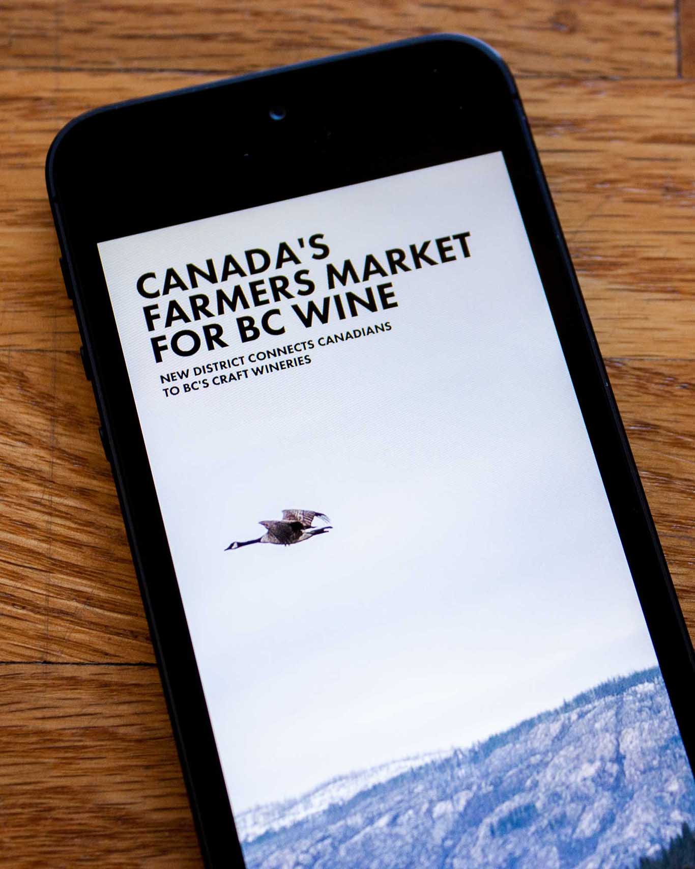 New District article on Canada's Farmers market or wine set against a full screen image of a goose flying against a mountain backdrop — by Yagnyuk.