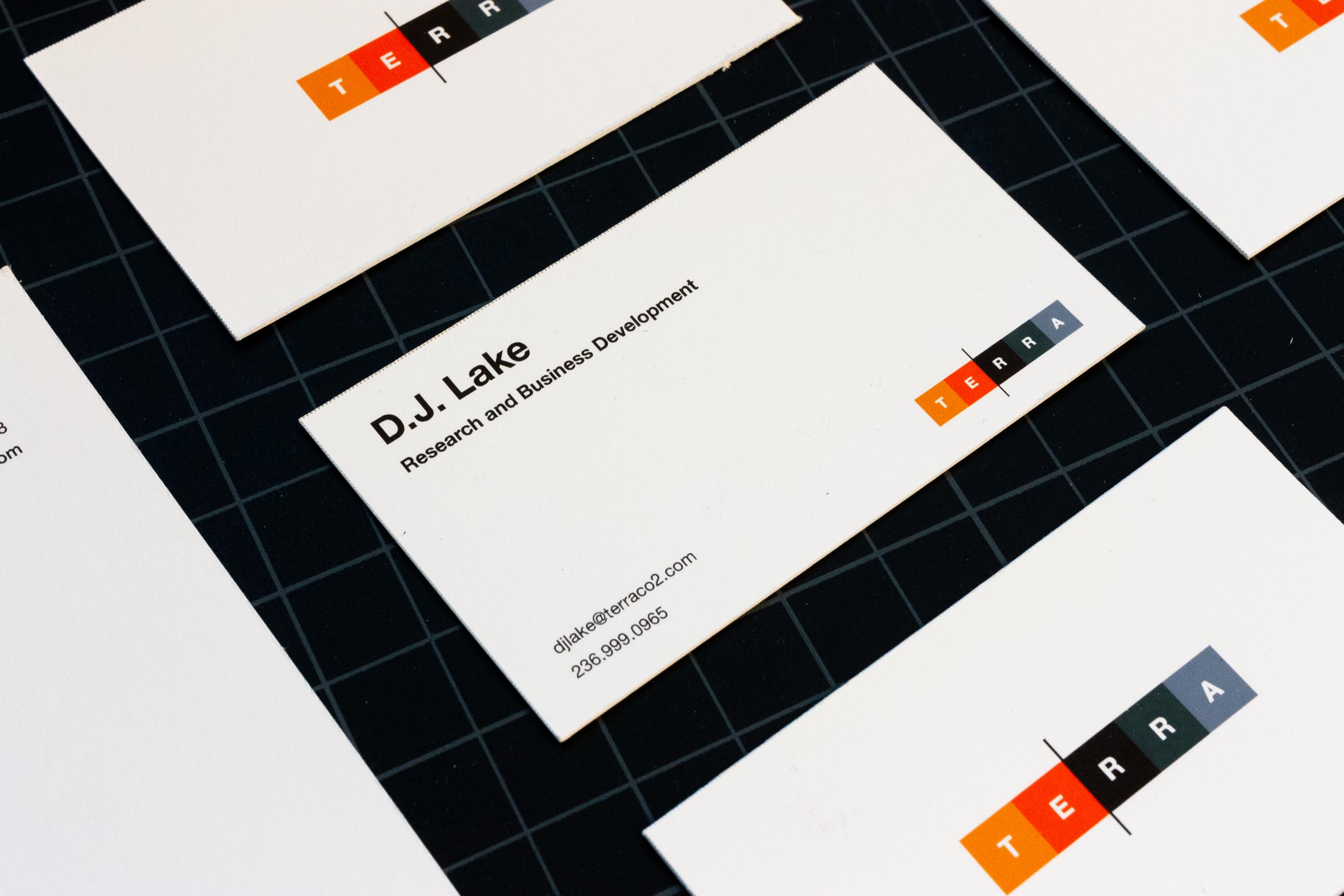 Front of Terra CO2 business cards with information set on a grid in Helvetica Neue — by Yagnyuk.
