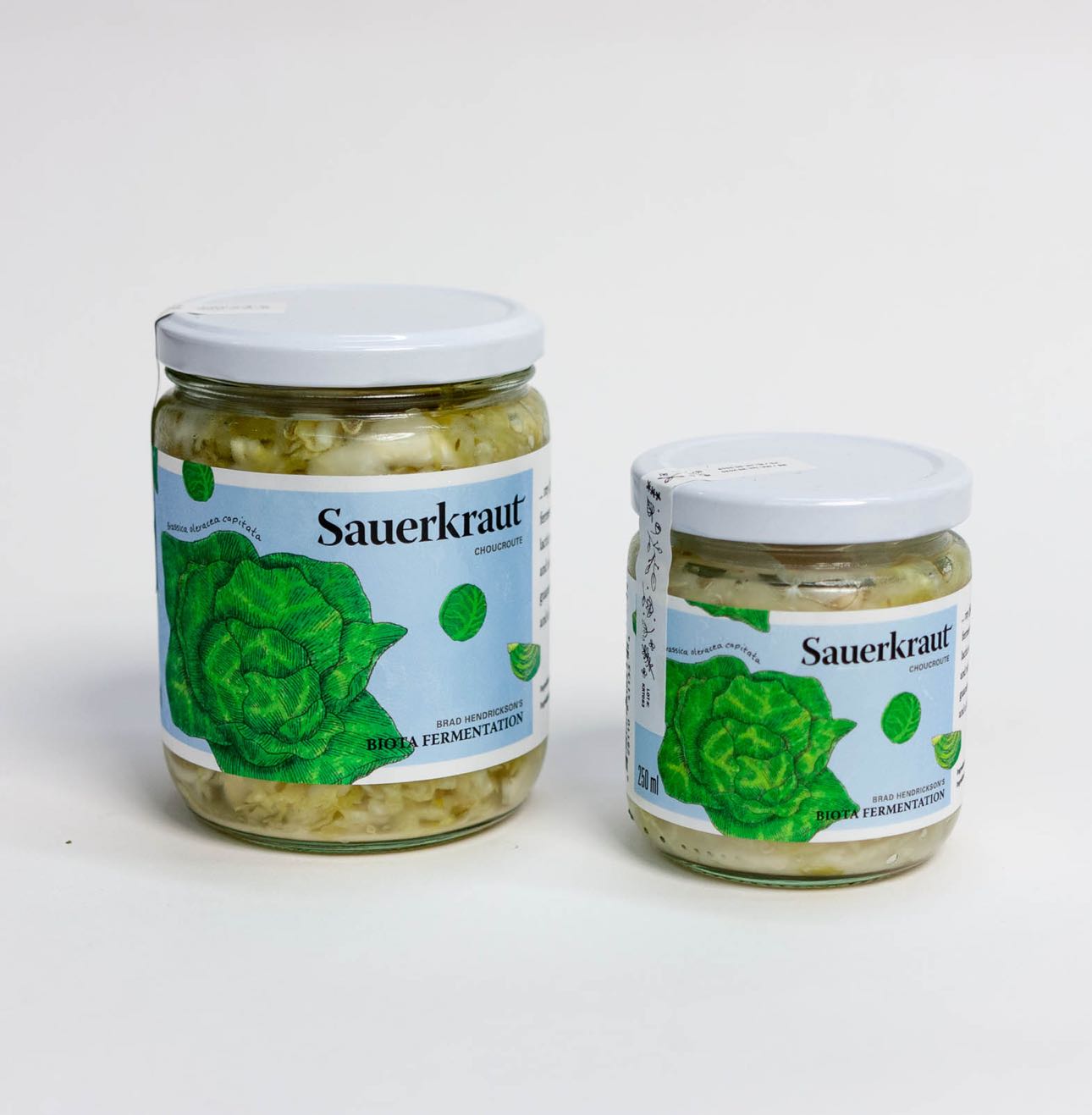 Biota Fermentation Sauerkraut Jars in 500ml and 250ml with vibrant green cabbage illustration by Jessica Fraser — by Yagnyuk.