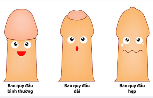 quy trình cắt bao quy đầu ở bệnh viện 175