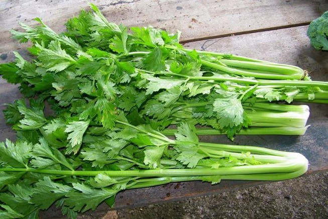 Chữa viêm đường tiết niệu bằng thảo dược