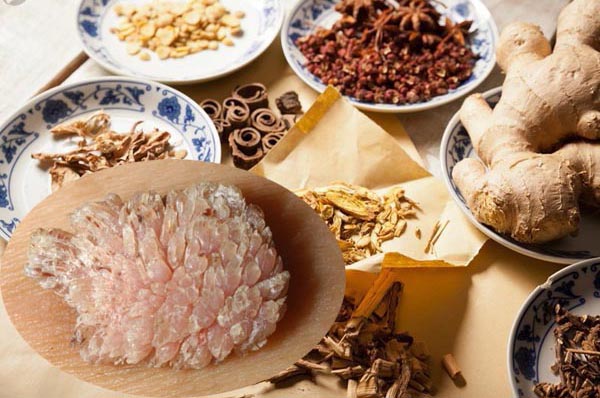 Chữa sùi mào gà bằng thuốc Đông Y
