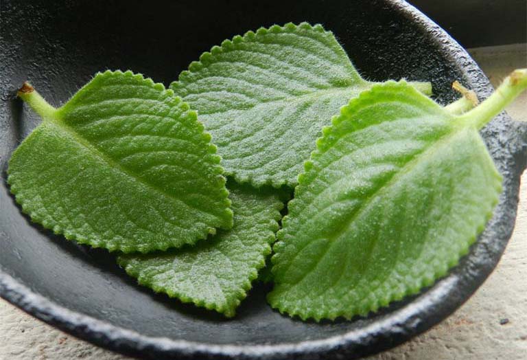 Cách trị sổ mũi cho bé tại nhà an toàn và hiệu quả
