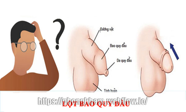 2 Cách lột bao quy đầu tại nhà hiệu quả tại nhà của BS Lê văn Điển