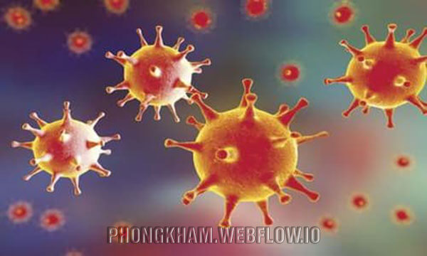 Virus HSV là gì? Xét nghiệm HSV ở đâu Hà Nội tốt nhất