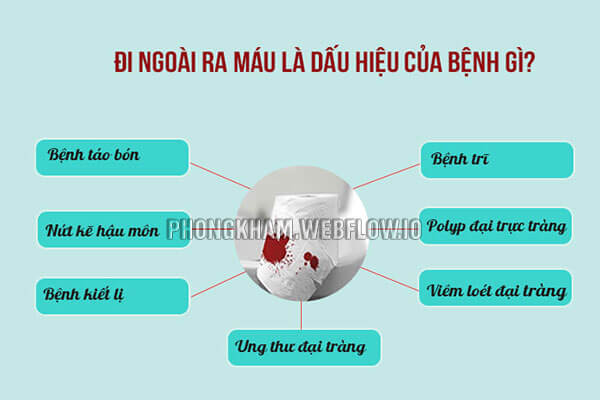 11 Nguyên nhân đi ngoài ra máu tươi thường gặp nhất