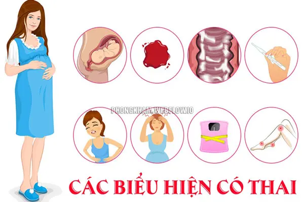 Nhận biết mang thai bằng 17 dấu hiệu có thai