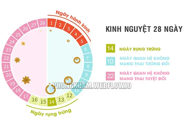 Hết kinh bao nhiêu ngày thì rụng trứng?
