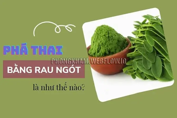 Cách phá thai bằng rau ngót sống BS Trần Thị Thành tư vấn