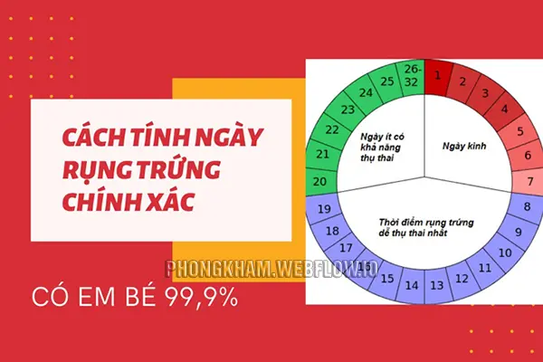 Những dấu hiệu nhận biết ngày rụng trứng ở nữ giới