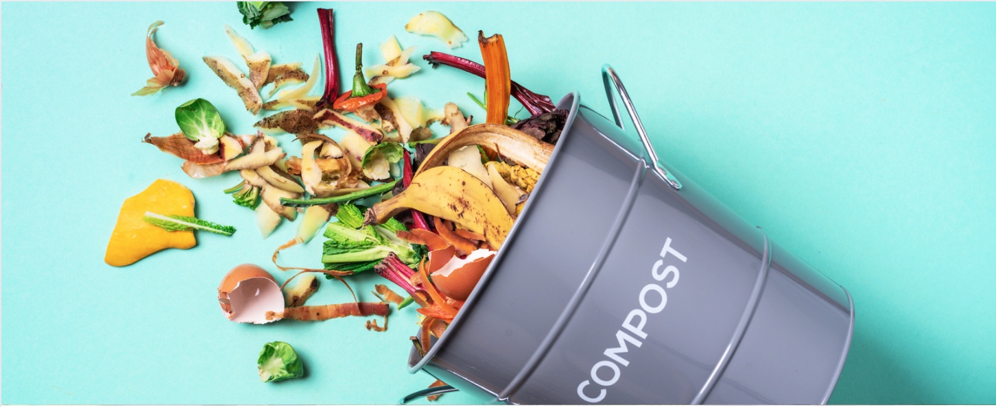 Compostable Products Services Growing City