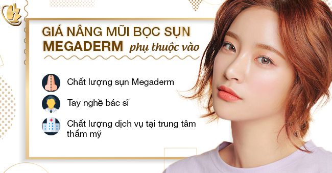 Giá nâng mũi bọc sụn megaderm