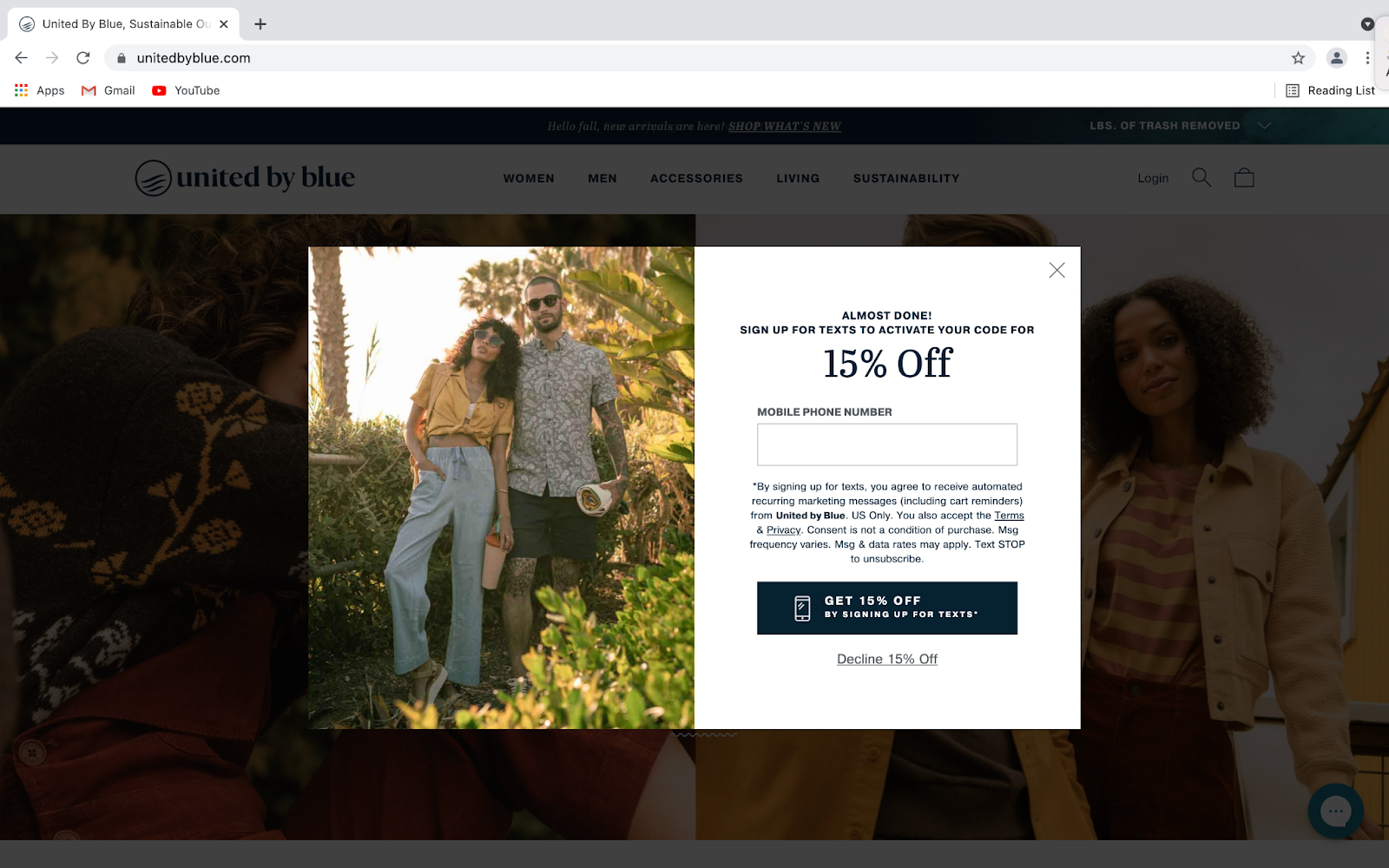 Example popup asking for a phone number to send a discount code.
