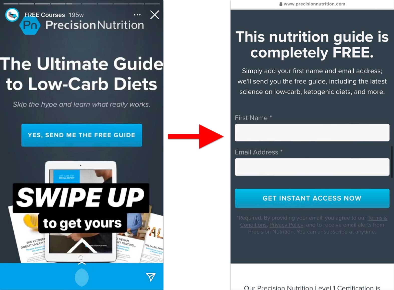 Precision Nutrition Instagram Stories email capture