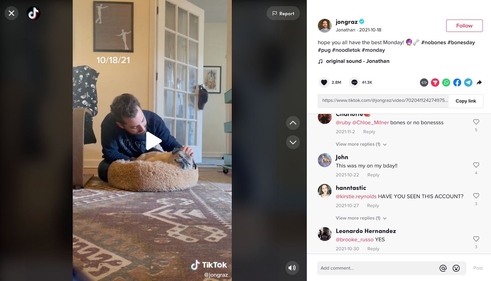 viral content - noodles the pug