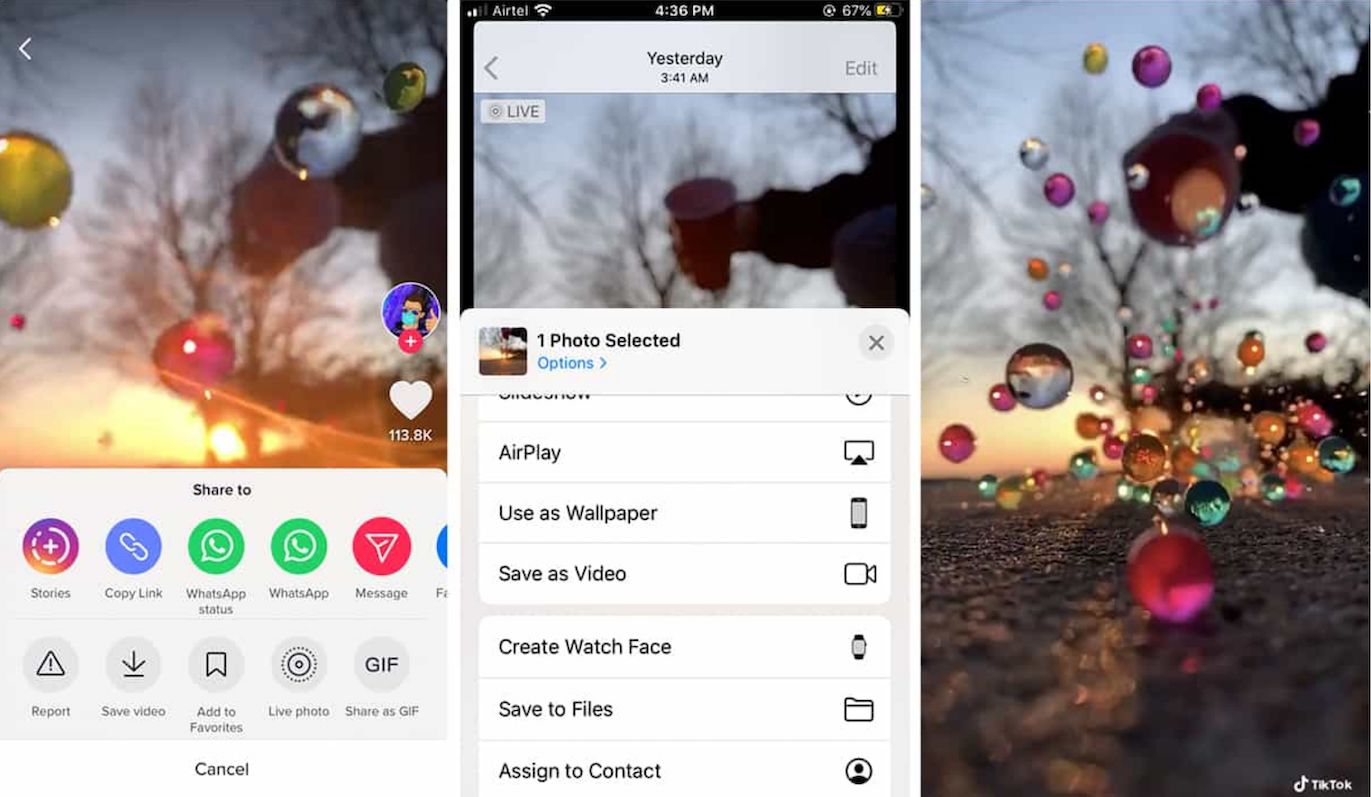 tiktok video sharing