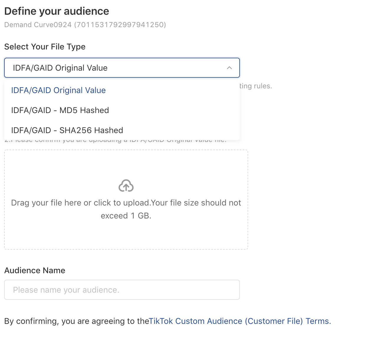 TikTok Ads Manager - Define your audience