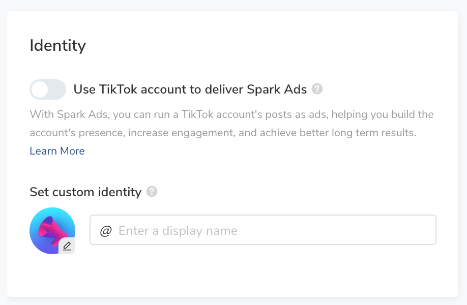 TikTok Ads Manager - choose your ad identity