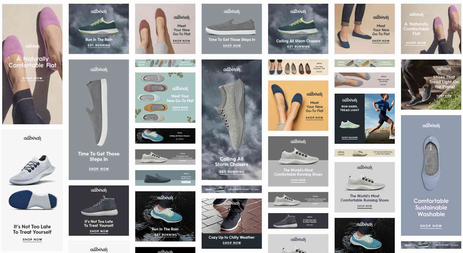 Allbirds static display ads