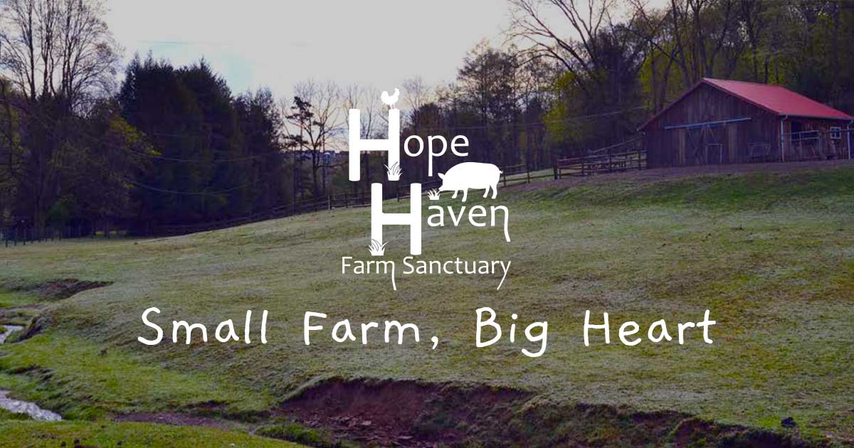 festivals near lock haven pa